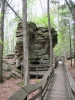 PICTURES/Beartown State Park - West VA/t_Tower2.jpg